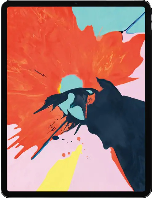 iPad Pro (12.9) - (3rd Gen)