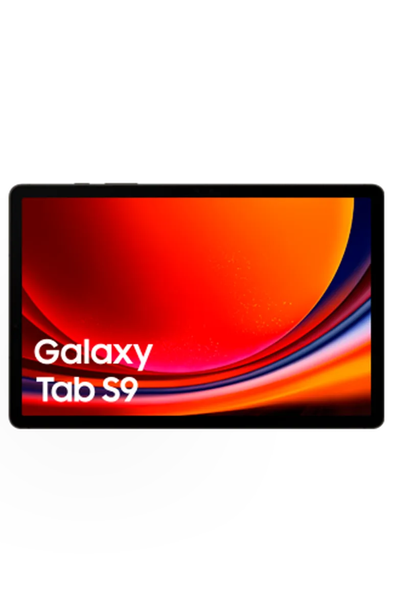 SM-X710 Galaxy Tab S9 (WiFi)